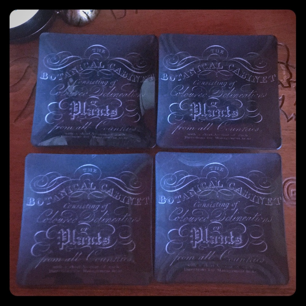 NWT set of 4 glass trays